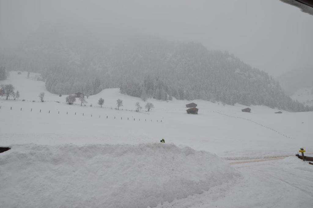 Appartement Leirer Alpbach Værelse billede